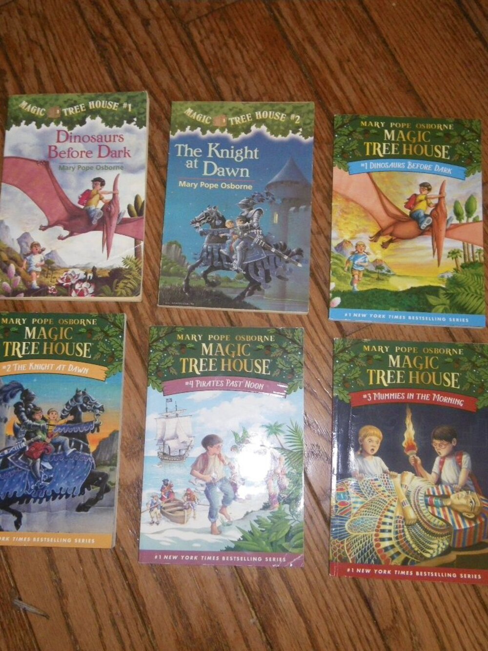 6 Magic Treehouse Books #1-4 Mary Pope Osborne